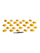 Volx - Demo Gamme V-Pure 2.0